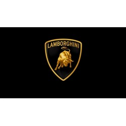 Ochrona komponentu Lamborghini